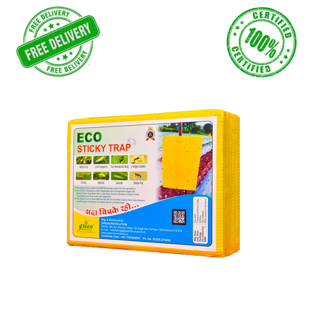 Eco-Sticky-Trap-6*8-cm-(Pack-of-25)-Green-Revolution